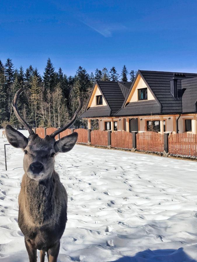 M Domki Zakopane Exterior foto